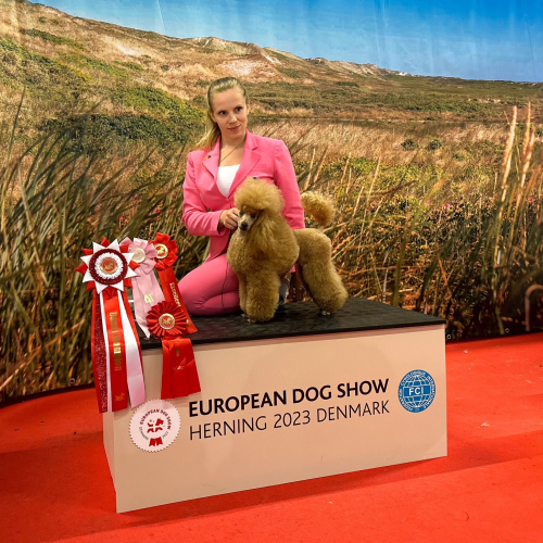 EDS Denmark - Euro Dog Show